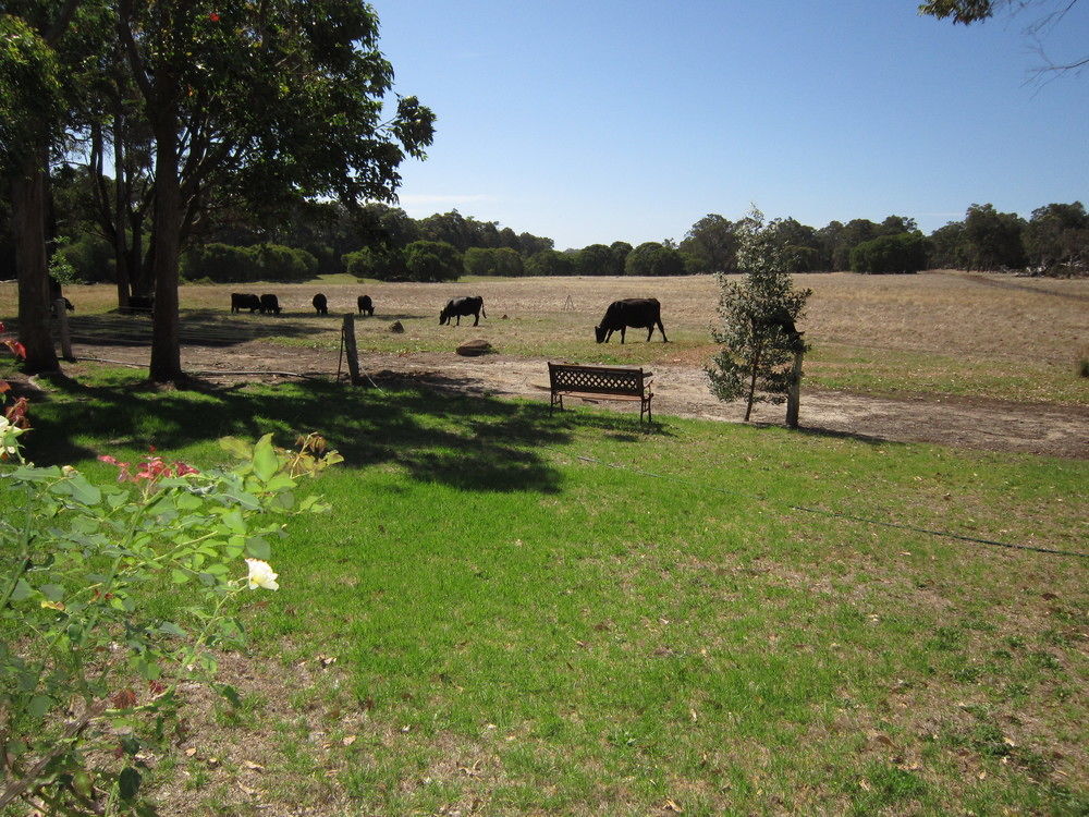 Marri Lodge Margaret River Dış mekan fotoğraf